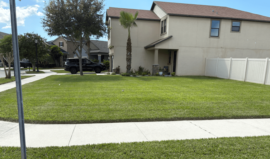 LAWN CARE