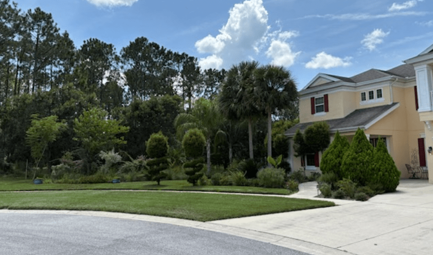 Legacy Pro Services